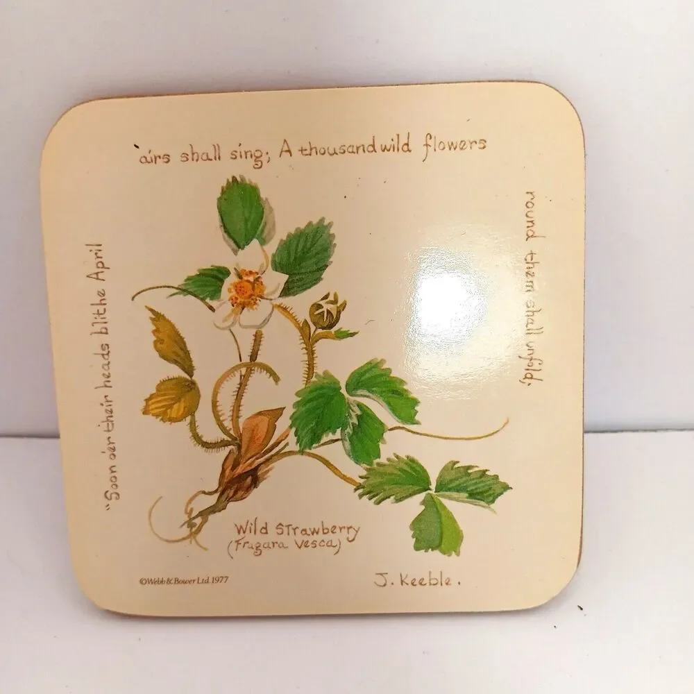 Vintage Richard Webb Coasters 1977 Cork Backed Cream with Flowers and Poems